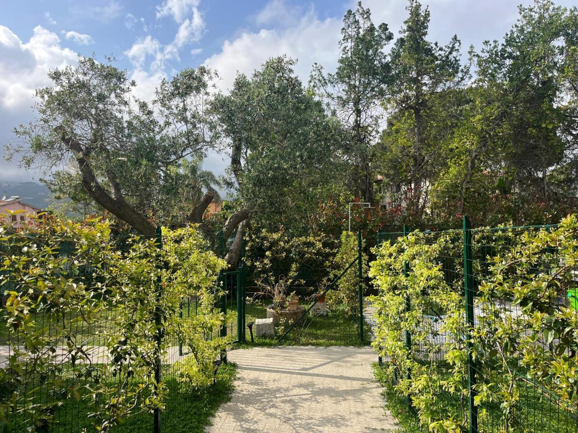 Lavalehouse Marina di Campo